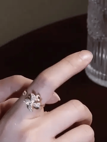 Rotating Windmill Spinning Anxiety Clam Ring